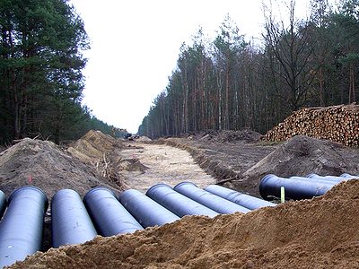 Waldstück neben der BAB 12 (Ortslage Briesen) Der Oberboden wurde bereits abgeschoben.