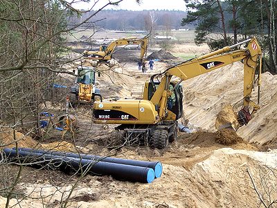 Waldstück neben der BAB 12 (Ortslage Briesen) Im hinteren Bereich ist der dunkle Boden des Moorgebietes gut zu erkennen.